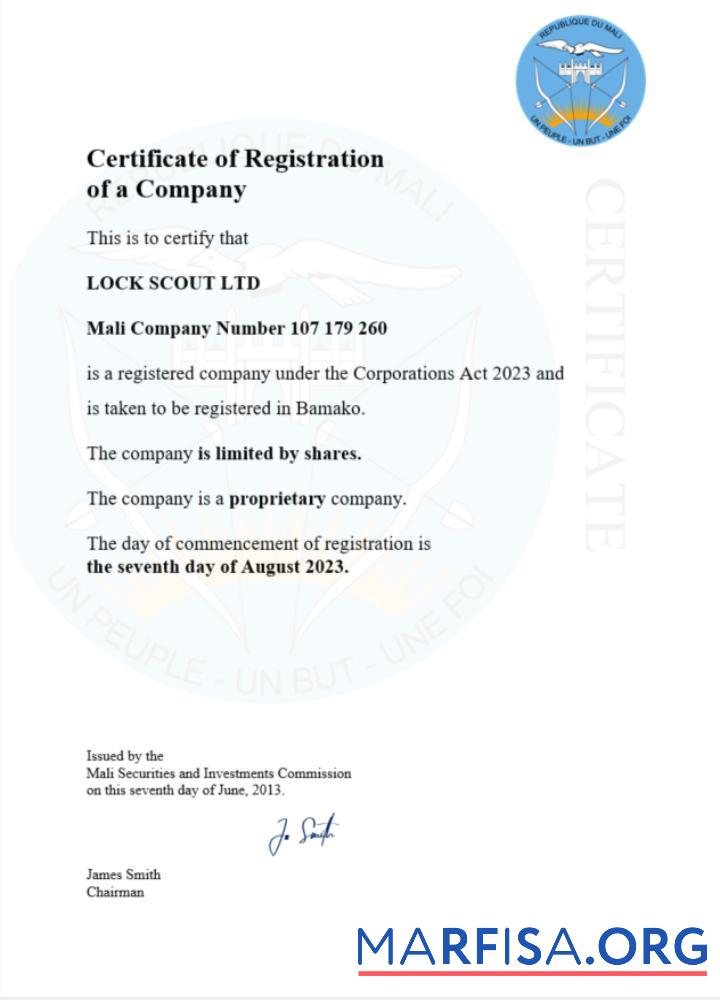 Realistic Mali business registration certificate Word and PDF template
